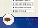 허브한의원 아토피 환약 출시
