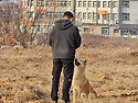 7년 동안