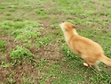 비 온다! 달리자!