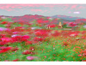 혼돈의 시대 (뒤죽박죽)