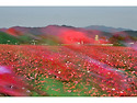 바람 불어 좋은 날