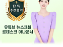 유튜브 뉴스채널 르데스크 아나운서 홍..