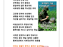 ** 현충일 추념 **