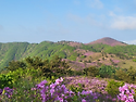 2025.5.10 장흥 제암산,..