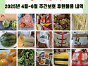 2025년 4월~6월 후원물품 내역