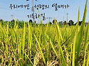 가을