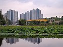 이서연밭