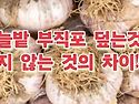 마늘농사(부직포덮기)