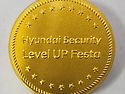 Hyundai Security Level UP F..
