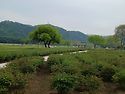 울산국가정원