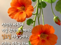 마 음