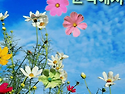 활짝 웃음으로