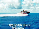 새들은 비오는 날에도 높이 난다