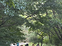0905 지리산 성삼재-벽소령16.5km