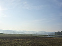 0514 작두콩, 단호박,늙은호박,수박,..
