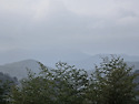 0524 당두리