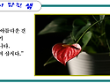 생명이 아름다운 건