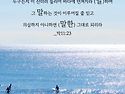 * 중보기도를 위한 선포기..