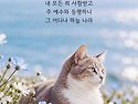 * 그 어디서나 하늘 나라를..