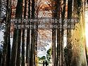 * 성령님의 은사보다 사랑..