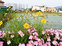 비봉산 2025.5.29