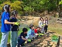 [고추모종심기]