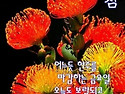 ♧5월 16일 금욜 출석부♧
