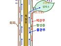 나무와 식물의 생존 원리