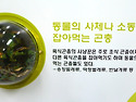 먹이별 곤충세상