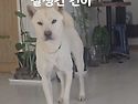 잘생긴 건이 ᆢ집에가자.