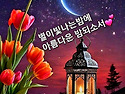 2024년 11월4일 월요일 운동^^~