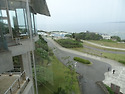 일본(236)