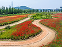 대부 바다향기 테마파크(2026.5.24..