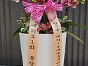 축하합니다