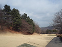 모나크