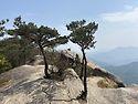 ＜제1,414차＞ ♡부산 뿌리산악회 산행일정 공지--충북 괴산군 연풍면, ..