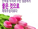 소중한하루카페 오픈/8.22