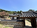 논산 배롱나무 명소 탐방 2026.8.6