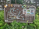 서산 수국명소 모월힐링숲-하솔마을해바라기/태안 나문재 수국 탐방 트레킹2025.7.15(화)