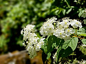 지리산 7암자 순례길에서(5/24)