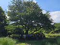 20260628_관음사~한라산생태숲