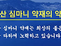 침향 공진단 / 활력 공진단 효능및 복..