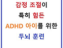 감정 조절이 특히 힘든 A..