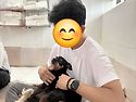 7월 11일 보호소입니다 ♡
