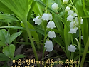 한 생을 다듬는 여행