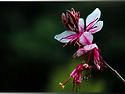 파주( 201003)