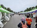 신안 임자도 튜립축제 트레킹