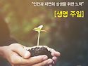 생명주일, 어버이날 선물