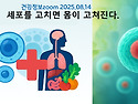 세포를 고치면 몸이 고쳐진다 (세포의 ..