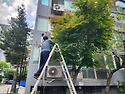 CCTV 시야 갸선